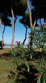 Villino Di Girolamo - Pineto - 5