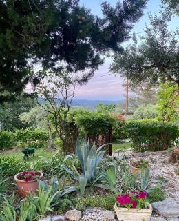 Le Patio Fleuri - Lorgues - 3