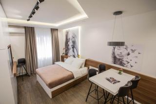 SACHER APARTMENTS - Niš - 7