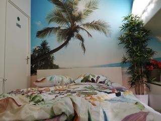 Waterloo square river vieuw houseboat - Amsterdam - 2