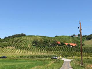 Weingut - Ferienhaus Sonja Rohrbacher - Gamlitz - 1