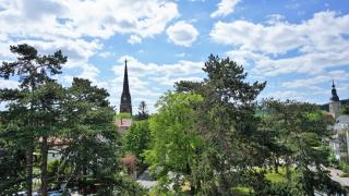 Goldrausch - Glanzvolle Ferienwohnung in Meißen am Lutherplatz - 6