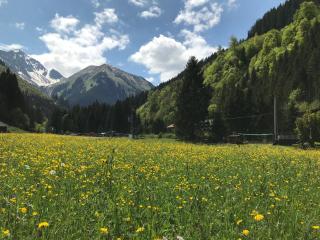 Gästehaus Baldauf - Berwang - 6