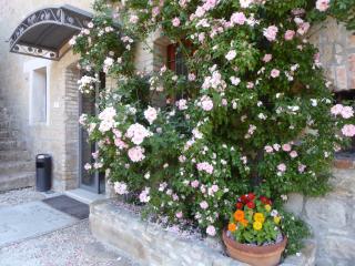 Pietre di Fiume - Apice - 1
