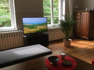 Exklusive Ferienwohnungen im Gutshaus Viezen - Bernitt - 8