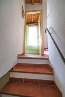 Cà du Nilo - 4