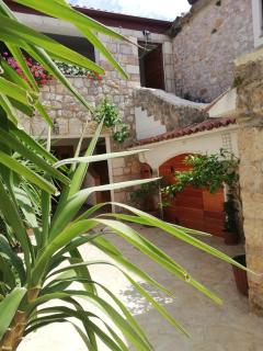Apartments Branko - Starigrad-Paklenica - 4