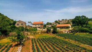 Apartments EcoNature - Virpazar - 6
