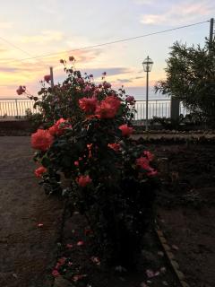 Balconcino degli innamorati Tropea - Santa Domenica - 1