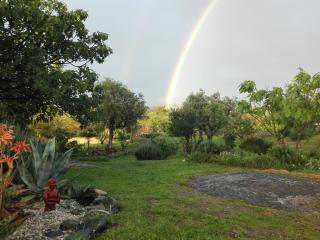 A comfortable rural space in beautiful gardens - 4