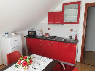 Apartment Asgard - Drežnik Grad - 5