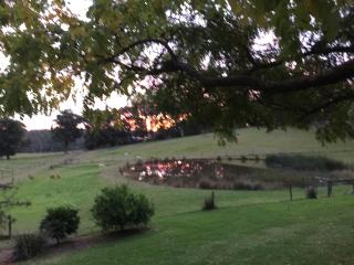 Raynella Alpaca Farmstay - Gruyere - 6