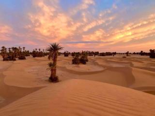 Camp Sahara Holidays - 1