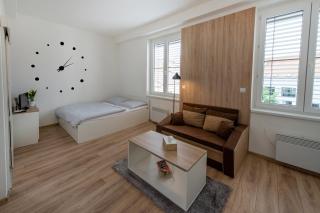 Soho apartment - Písek - 1