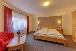 Pension Leithenwald - Zwiesel - 7