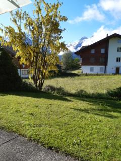 Pension Alpina - Lenk im Simmental - 8