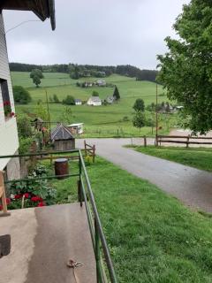 Schwarzwaldblick - Titisee-Neustadt - 0