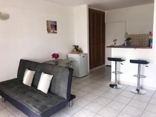 Studio avec vue sur mer à La Trinité - 30 m² - Climatisé - La Trinité - 0