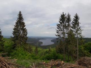 Ferienwohnung Weitblick - Wolfshagen - 9