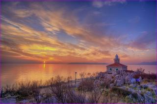 RUŽA - Makarska - 2