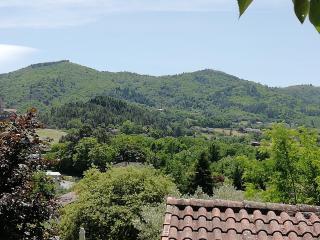 Gîte le pic vert - Prades - 7
