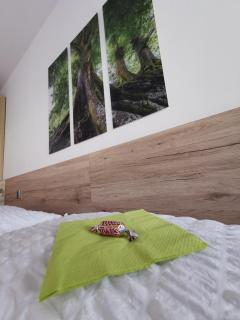Appartement mit Doppelbett oder 2 Einzelbetten - Bad Aussee - 8