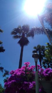 Holiday Maison Villa Arci - 8