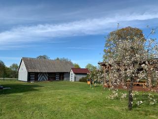 Treimani Country House - 6