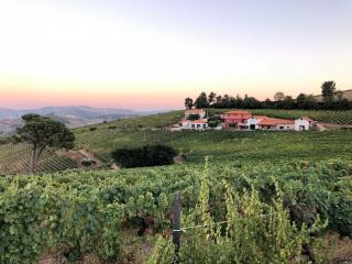 Quinta dos Espinheiros - Provesende - 8