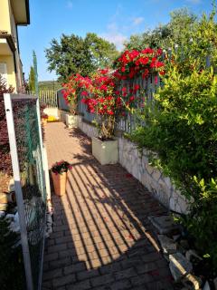 Guest House Milva - Sperlonga - 7