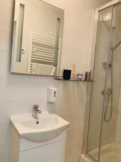 Studio Apartment Ivana - Zagreb - 9