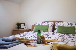 Apartma Pegaz - Rogaška Slatina - 1
