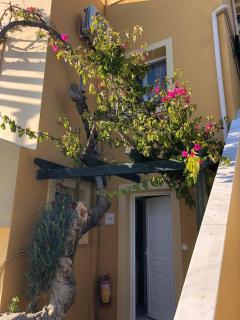 Sandy Beach Villas and Apartments - Svoronata - 7