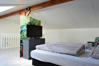 Appartement zeldenrust - Oostkapelle - 4