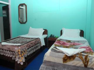 Hotel Travelers Home - Kathmandu - 5