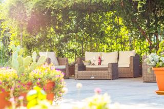 Il Gallo Con Gli Stivali - 5