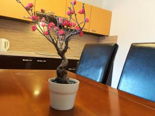 APARTMÁN SLAVKOV home & parking - 2