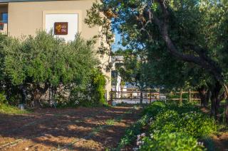Il Gallo Con Gli Stivali - Termoli - 9