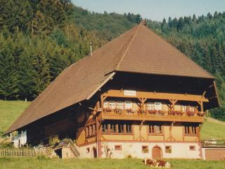 Wäldebauernhof - Gutach - 9