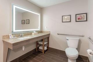Comfort Inn Grove City - Columbus South - Grove City - 5