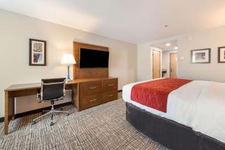 Comfort Inn Grove City - Columbus South - Grove City - 2