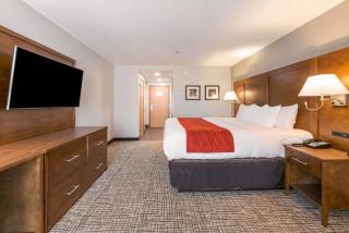Comfort Inn Grove City - Columbus South - Grove City - 3