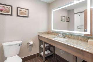Comfort Inn Grove City - Columbus South - Grove City - 1