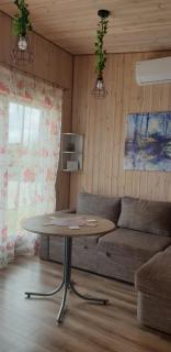 Vieno aukšto kotedžas - 2