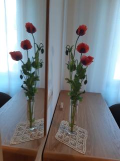 SOBE U SIRRC - Bled - 8