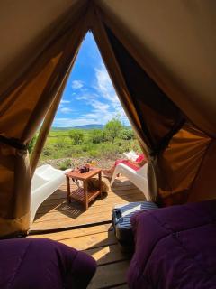 Camping la Peiriere - Lodge en Pays Cathare - Tuchan - 3