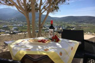 GRAPE YARD APARTMENT - Parikia - 9