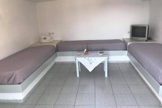 GRAPE YARD APARTMENT - Parikia - 7