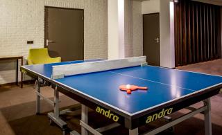 Fletcher Hotel-Restaurant Frerikshof - Winterswijk - 9