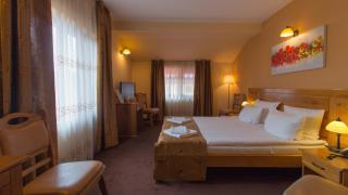 Pension La Fontana - Baia Mare - 8